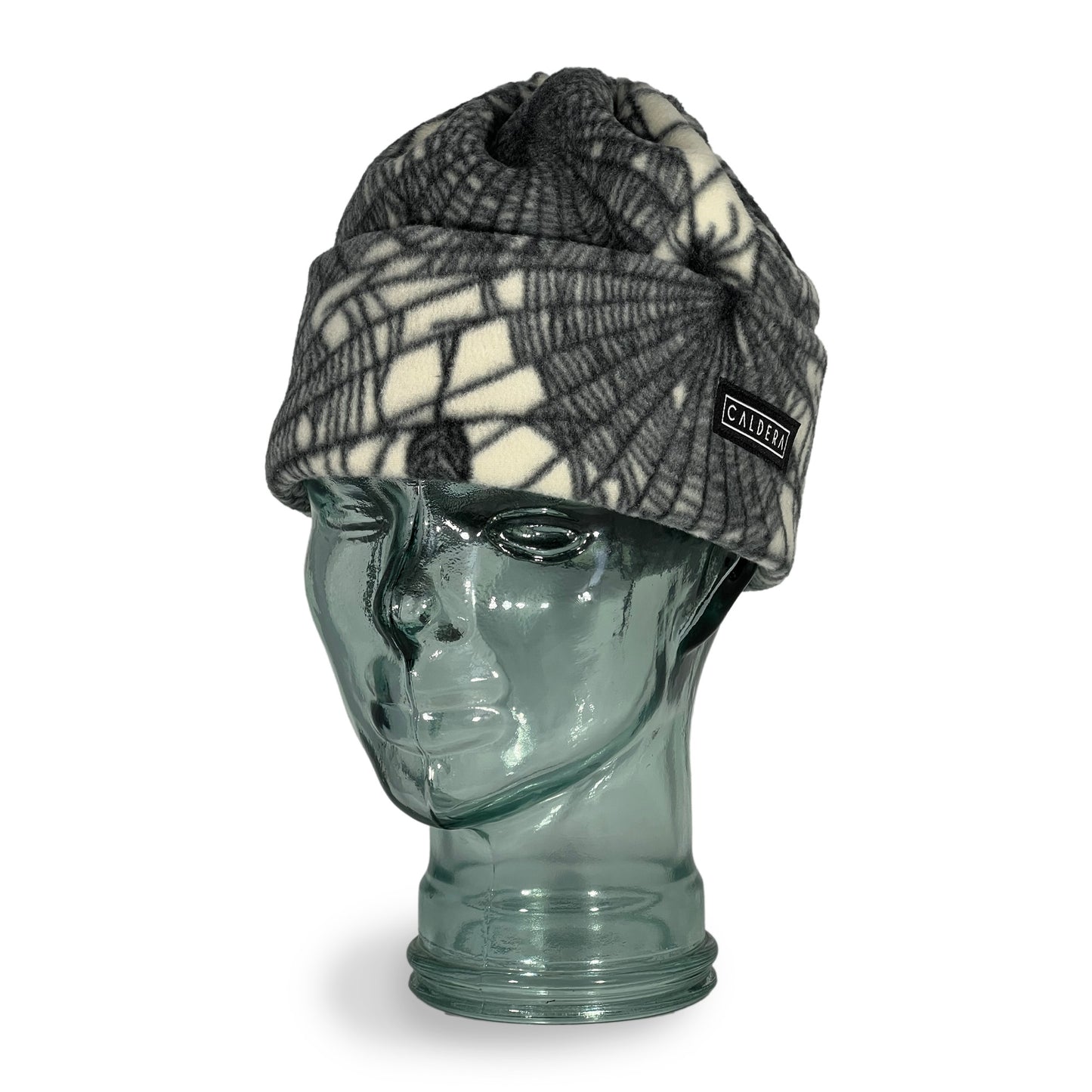 Spider Web Beanie