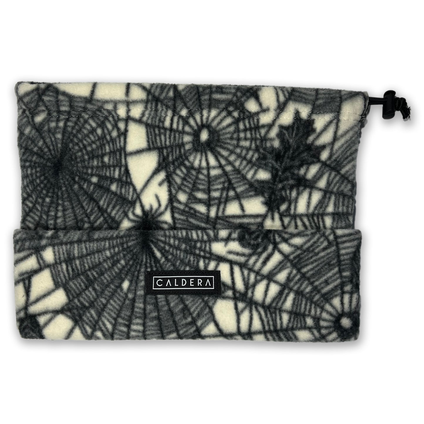 Spider Web Beanie